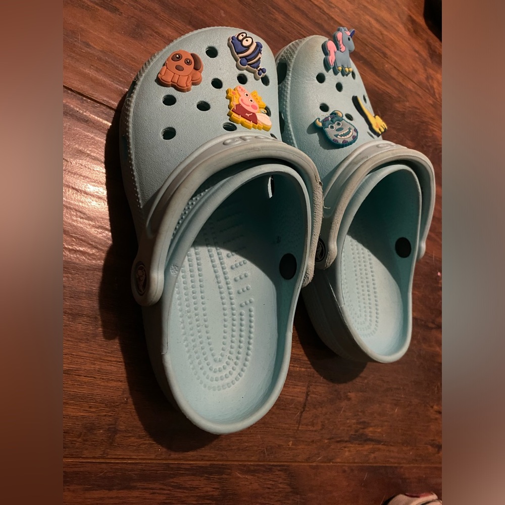 Crocs Classic Clogs